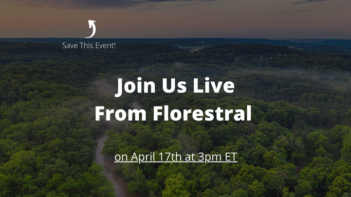 Live From Florestral 17.04.22